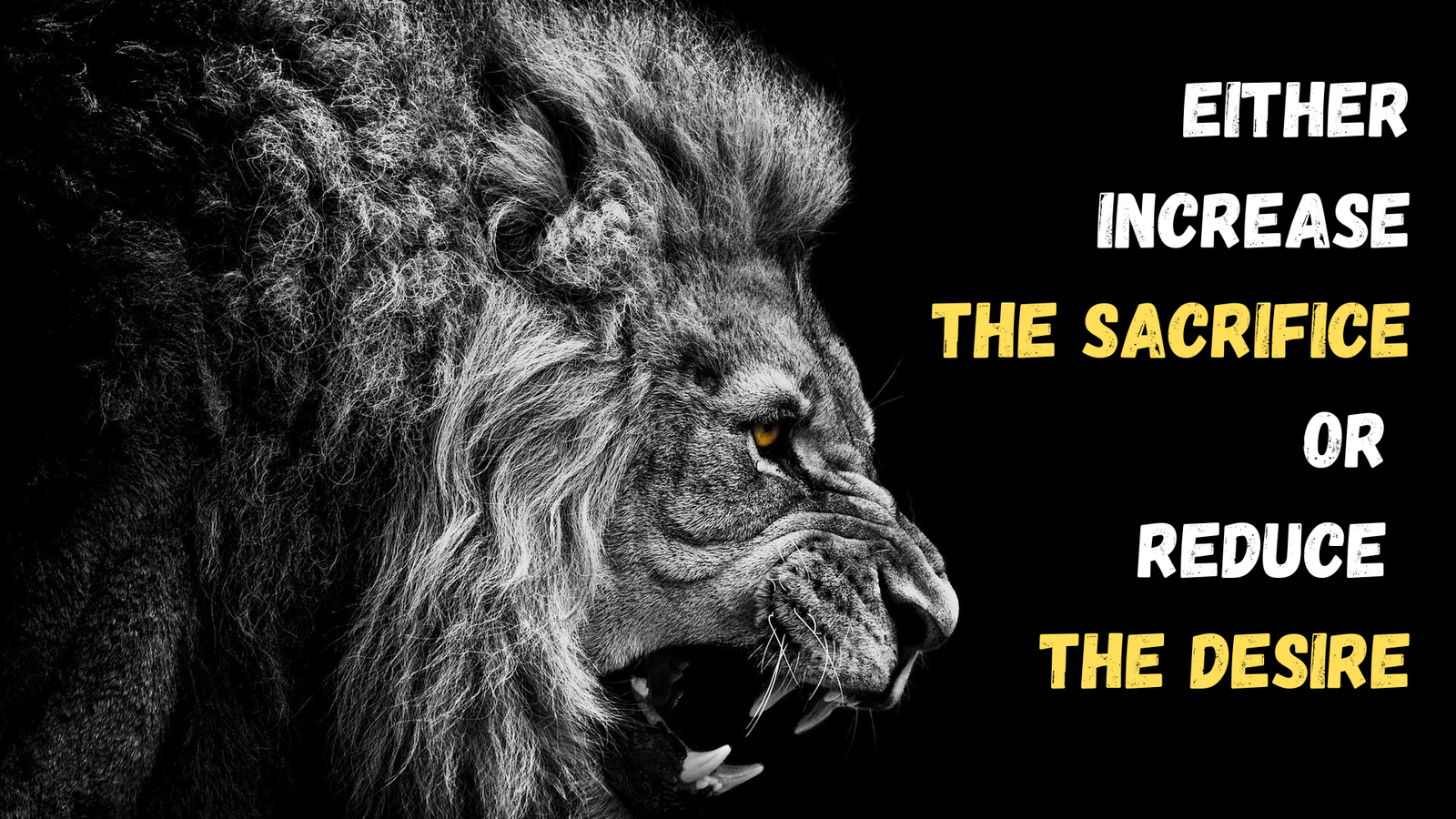 Motivational Text Wallpaper Image